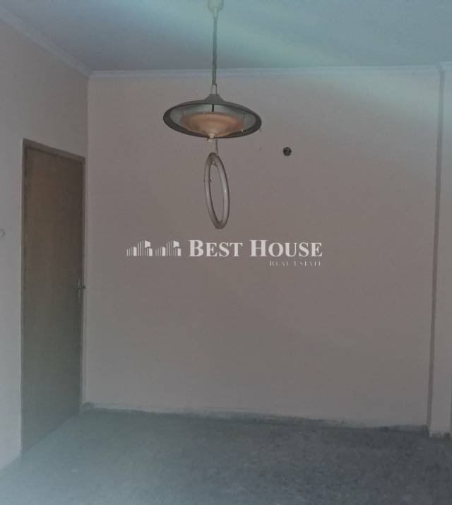 12 A7543.jpg